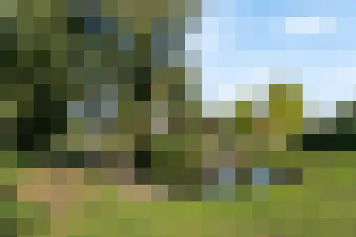 Europaweg 24 H Zwijndrecht thumbnail 37