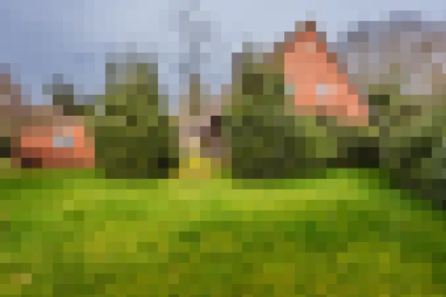 Europaweg 28 Nieuw-Schoonebeek thumbnail 30
