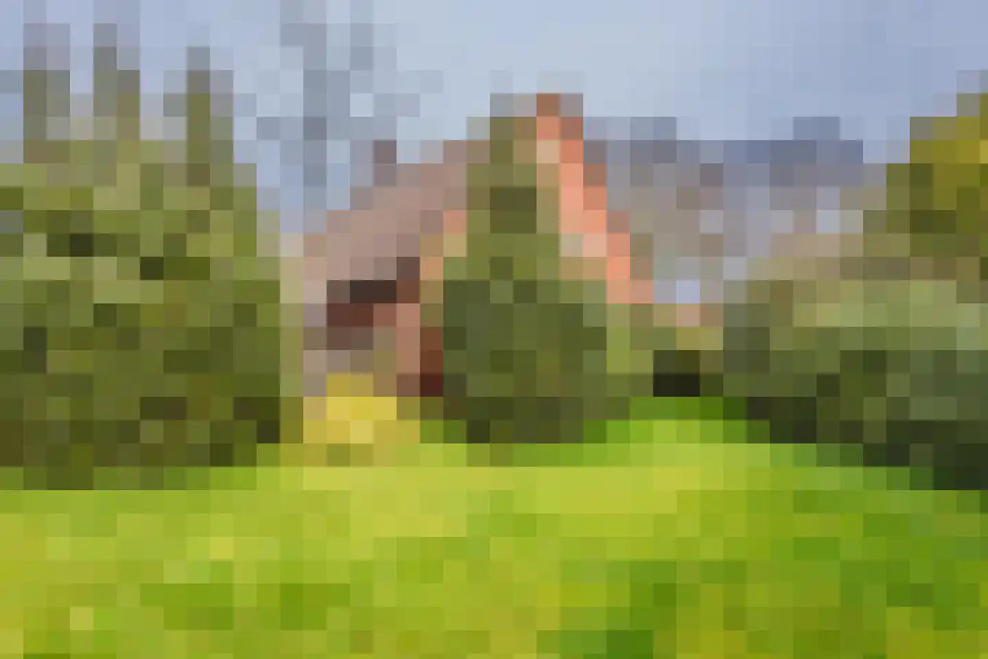 Europaweg 28 Nieuw-Schoonebeek thumbnail 31