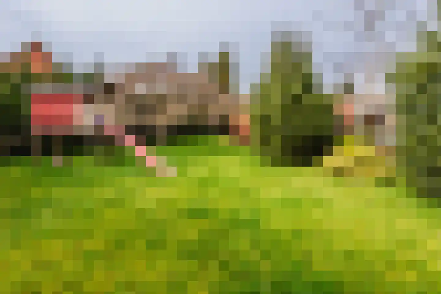 Europaweg 28 Nieuw-Schoonebeek thumbnail 32