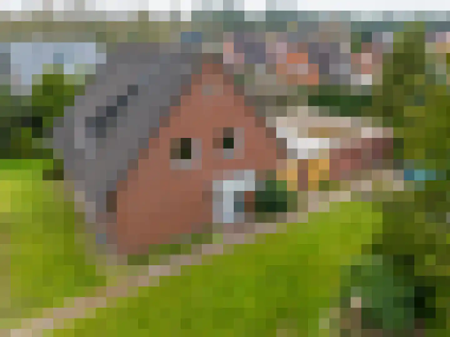 Europaweg 28 Nieuw-Schoonebeek thumbnail 41