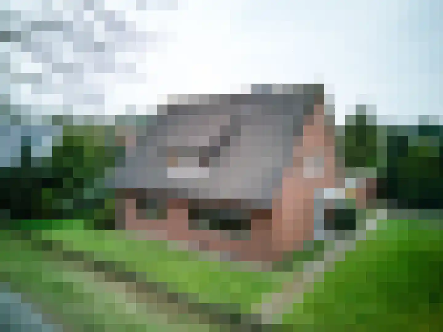 Europaweg 28 Nieuw-Schoonebeek thumbnail 42