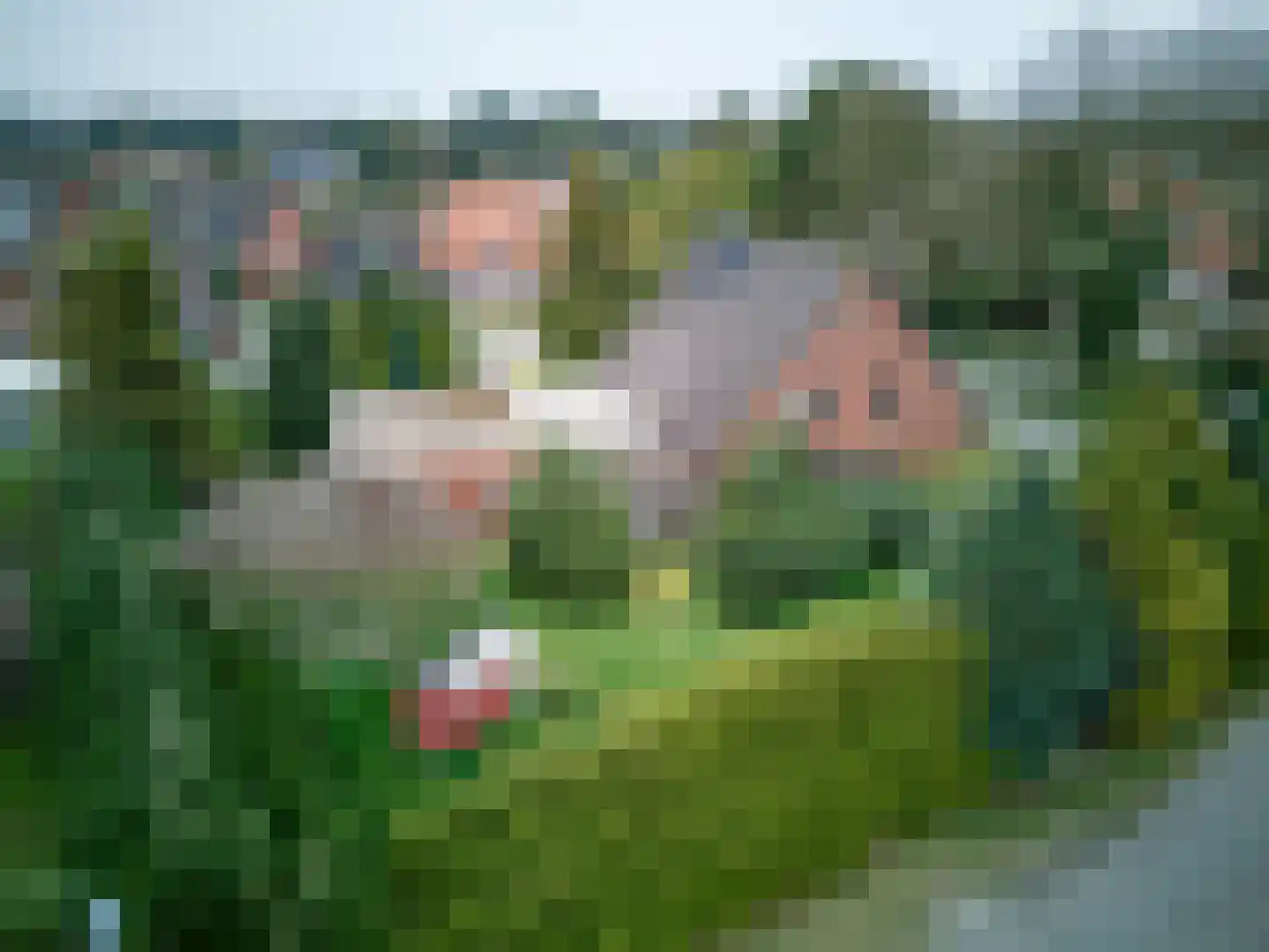 Europaweg 28 Nieuw-Schoonebeek thumbnail 44