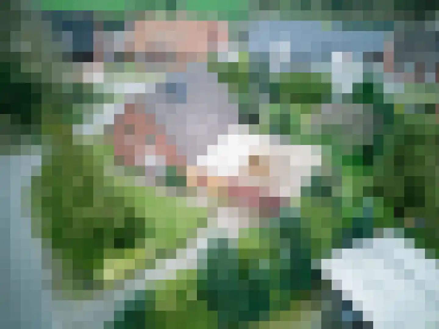 Europaweg 28 Nieuw-Schoonebeek thumbnail 45