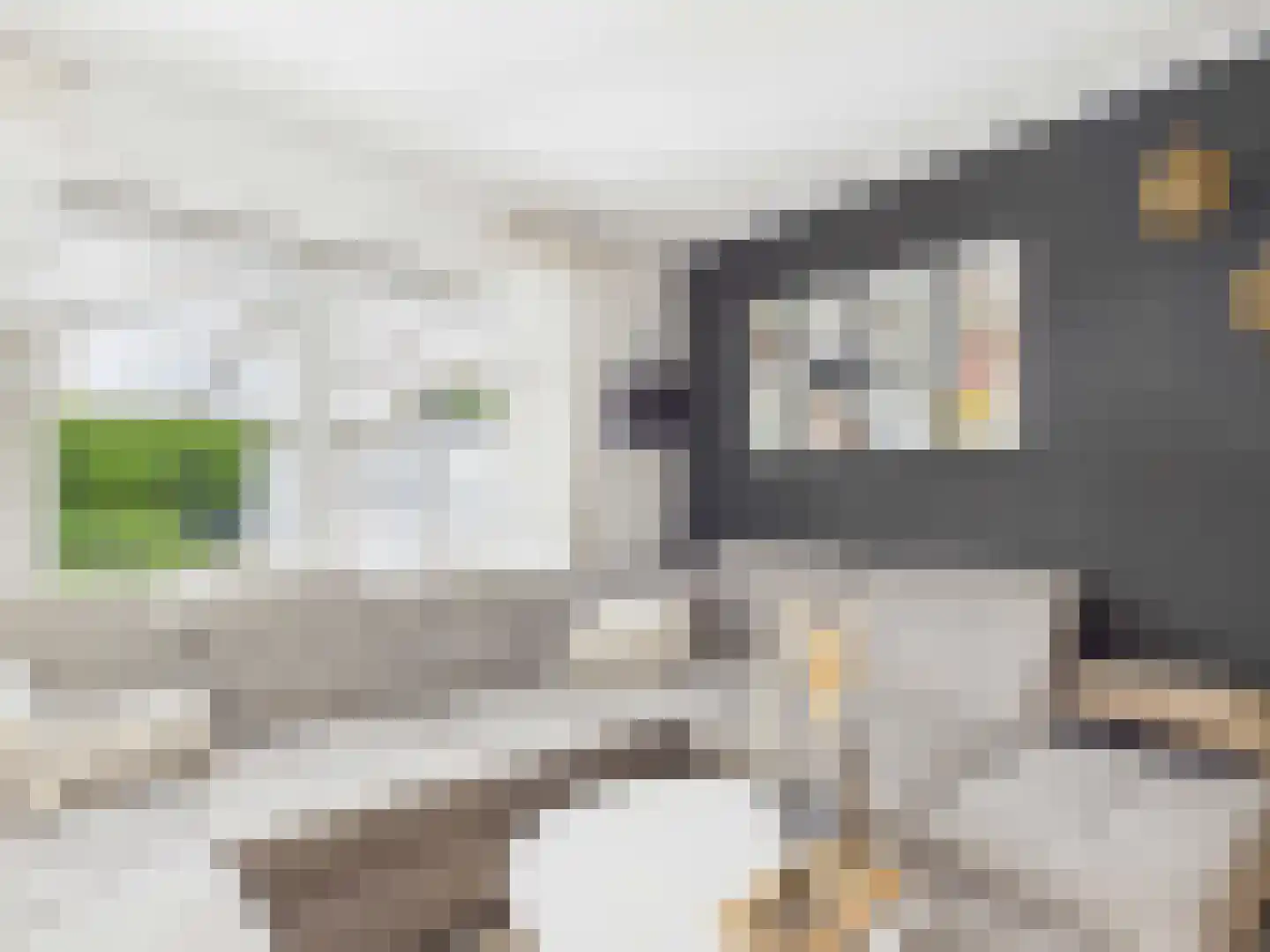 Europaweg 3 Bad Nieuweschans thumbnail 13