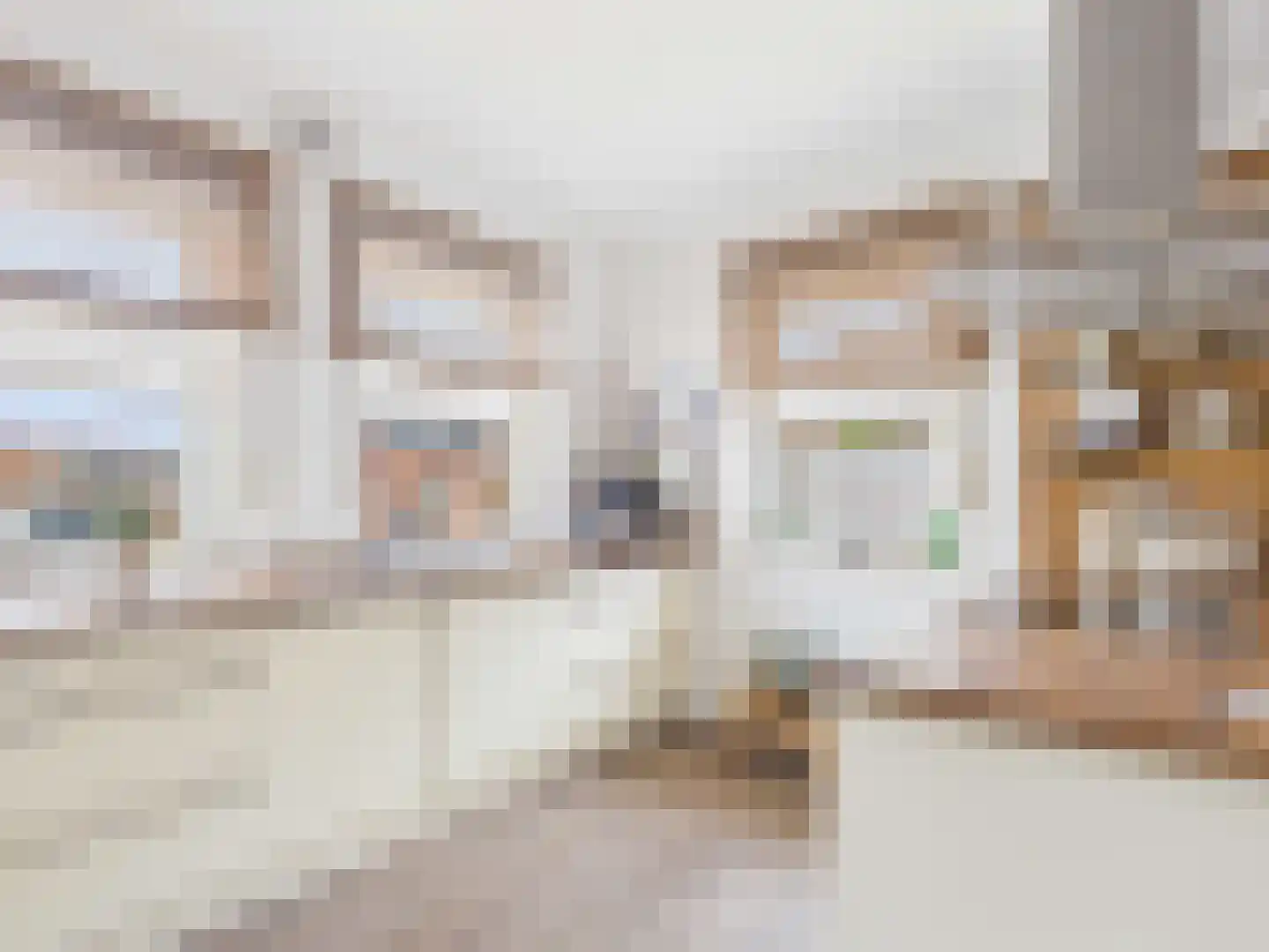 Europaweg 3 Bad Nieuweschans thumbnail 21
