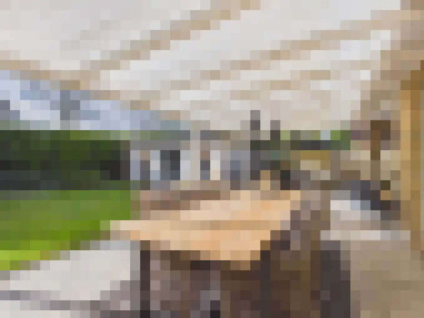 Europaweg 3 Bad Nieuweschans thumbnail 27