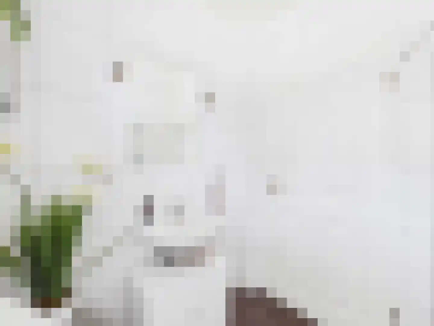 Europaweg 3 Bad Nieuweschans thumbnail 4