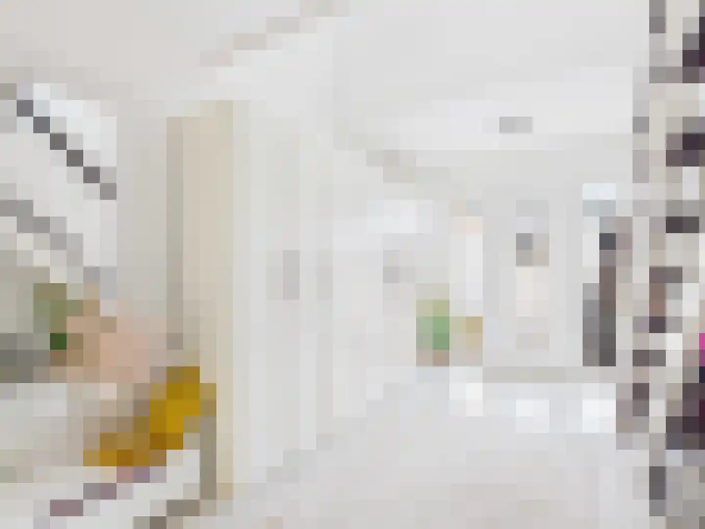 Europaweg 3 Bad Nieuweschans thumbnail 5