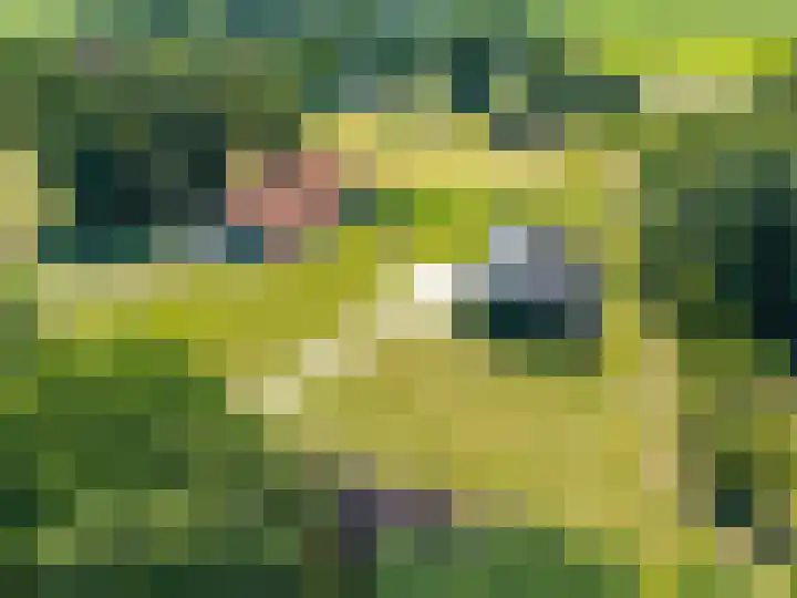 Europaweg 325 Nieuw-Schoonebeek thumbnail 22