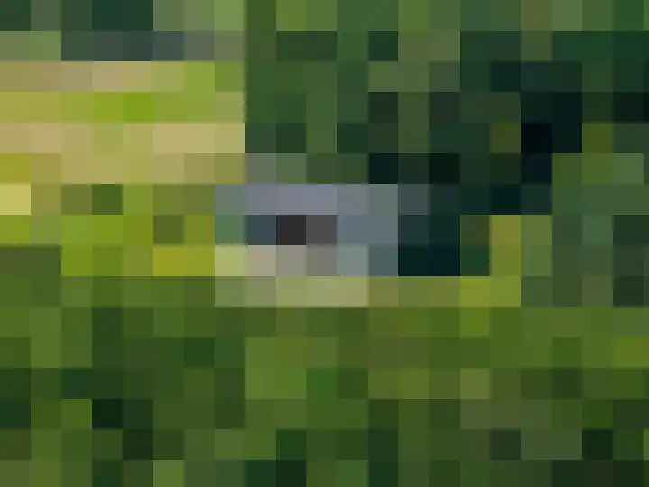 Europaweg 325 Nieuw-Schoonebeek thumbnail 26