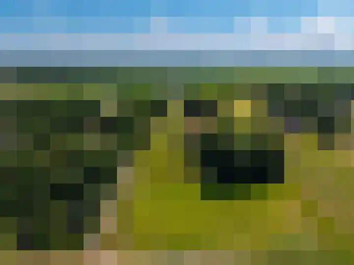 Europaweg 325 Nieuw-Schoonebeek thumbnail 29