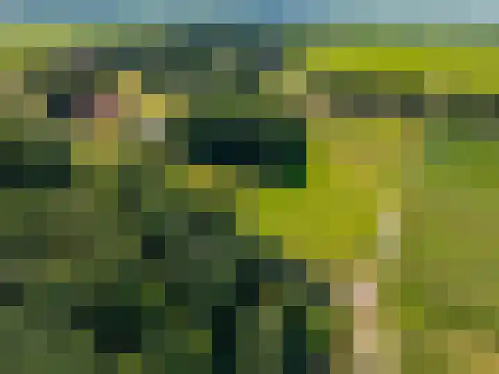 Europaweg 325 Nieuw-Schoonebeek thumbnail 31