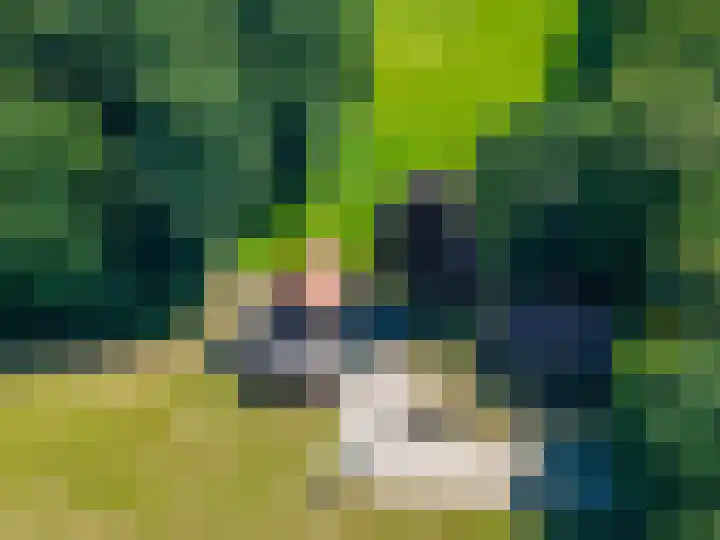 Europaweg 327 Nieuw-Schoonebeek thumbnail 34