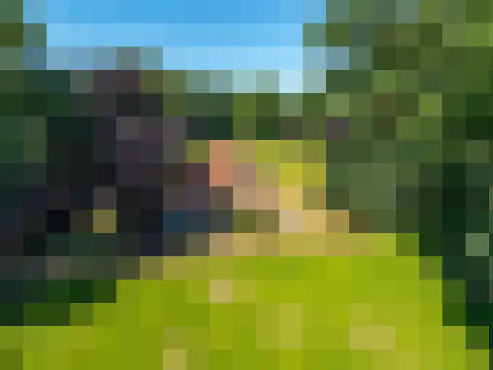 Europaweg 327 Nieuw-Schoonebeek thumbnail 4