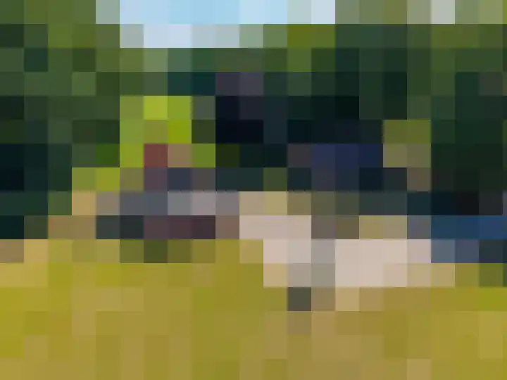 Europaweg 327 Nieuw-Schoonebeek thumbnail 41