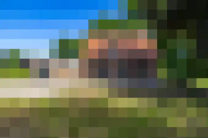 Europaweg 327 Nieuw-Schoonebeek thumbnail 49