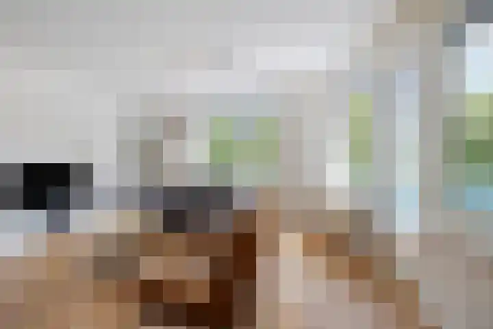 Europaweg 34 Zoetermeer thumbnail 13