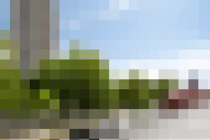 Europaweg 34 Zoetermeer thumbnail 28
