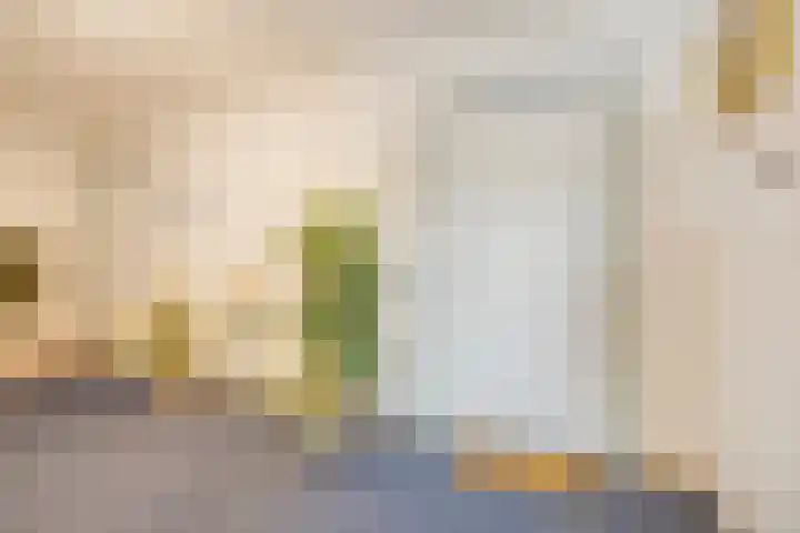 Europaweg 34 Zoetermeer thumbnail 8