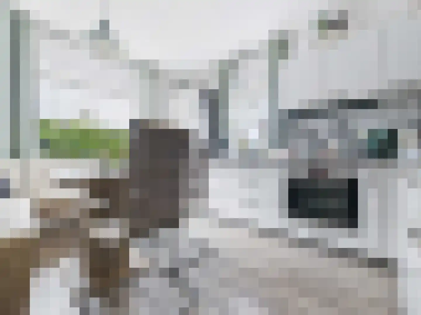 Europaweg 47 Bad Nieuweschans thumbnail 22
