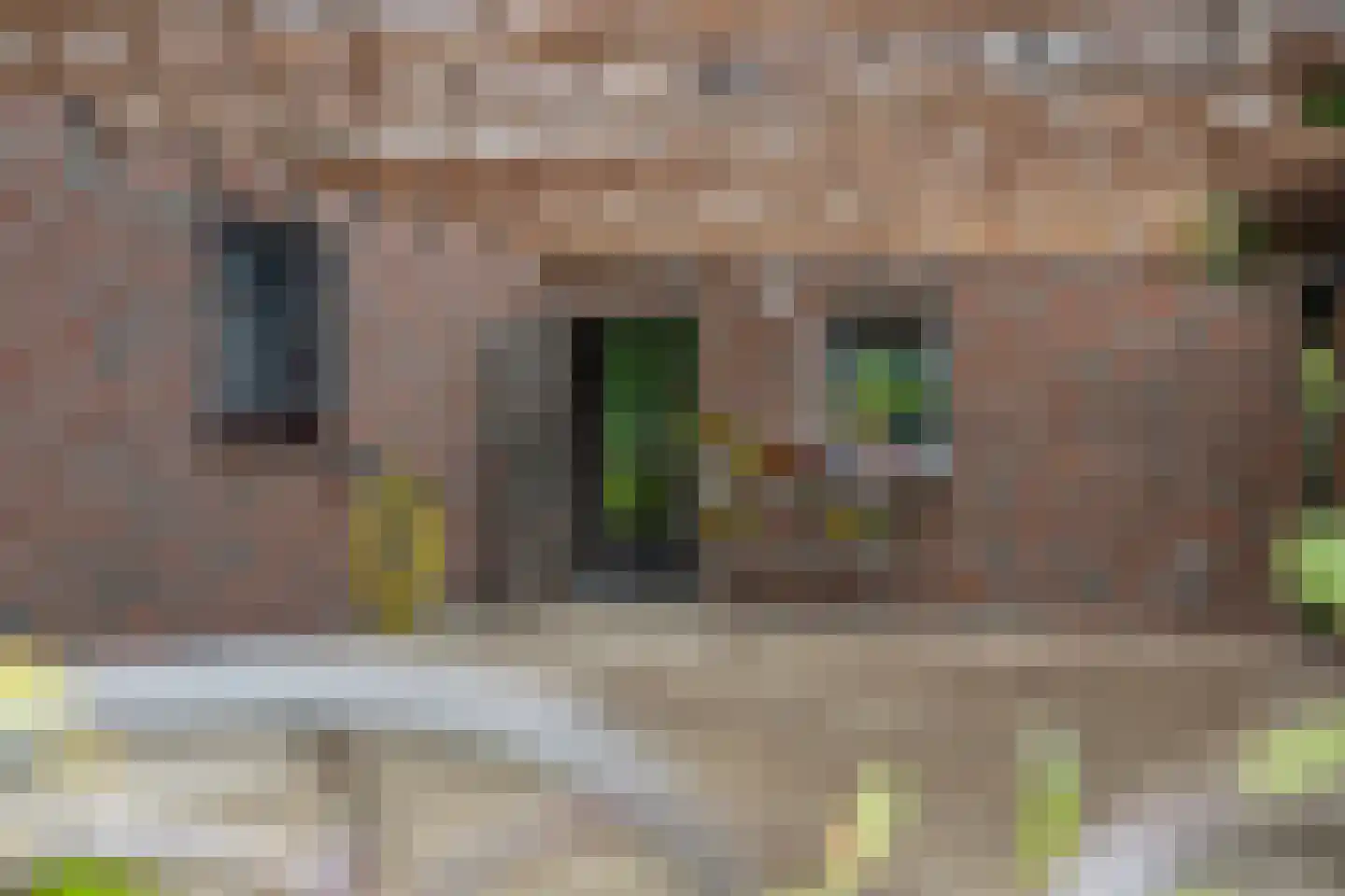 Europaweg 49 Nieuw-Schoonebeek thumbnail 10