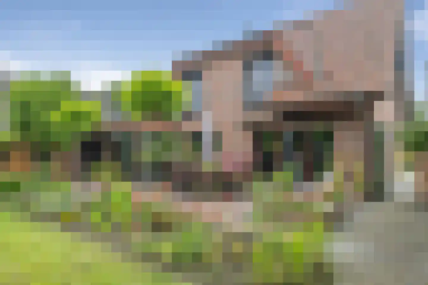 Europaweg 49 Nieuw-Schoonebeek thumbnail 16