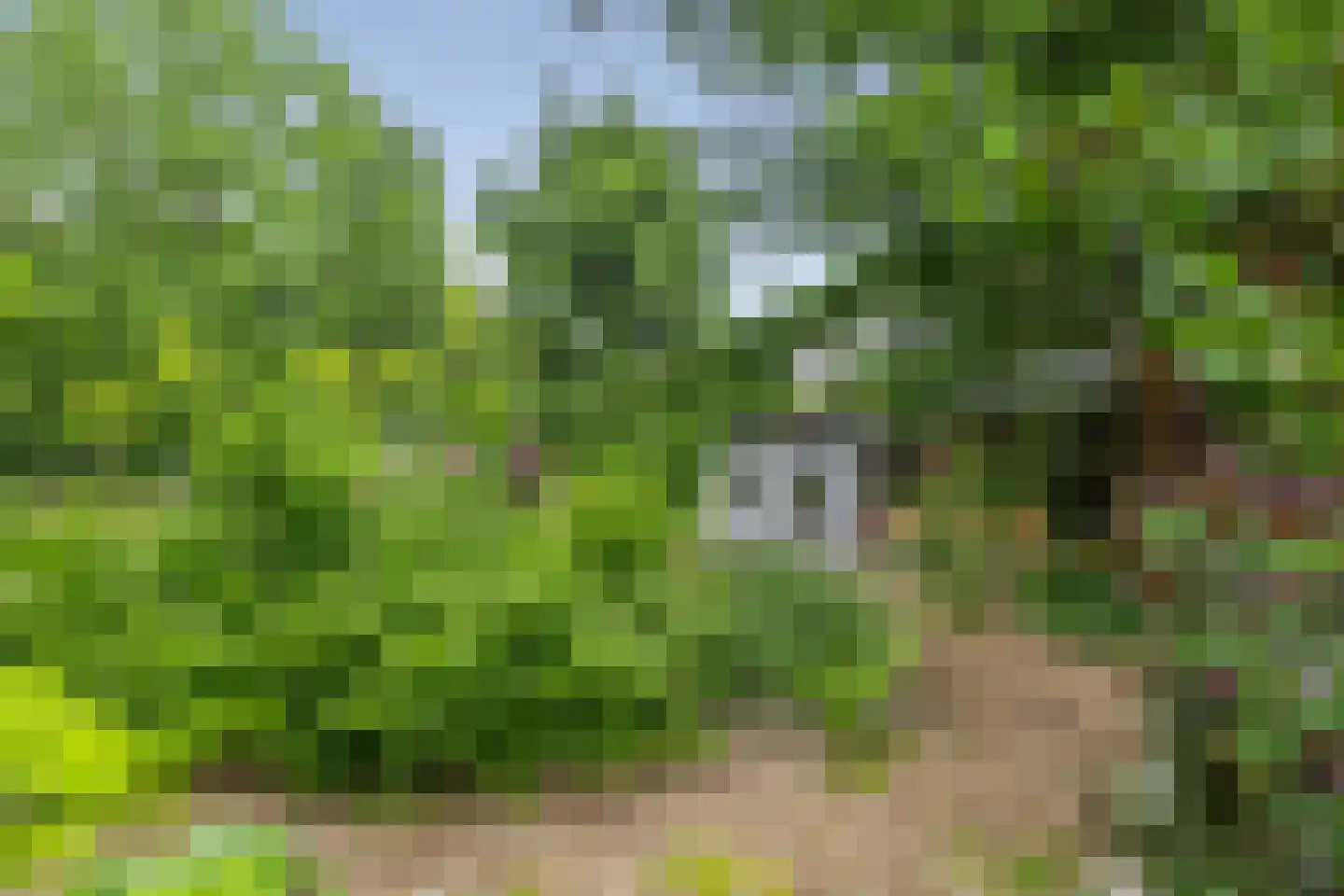 Europaweg 49 Nieuw-Schoonebeek thumbnail 24