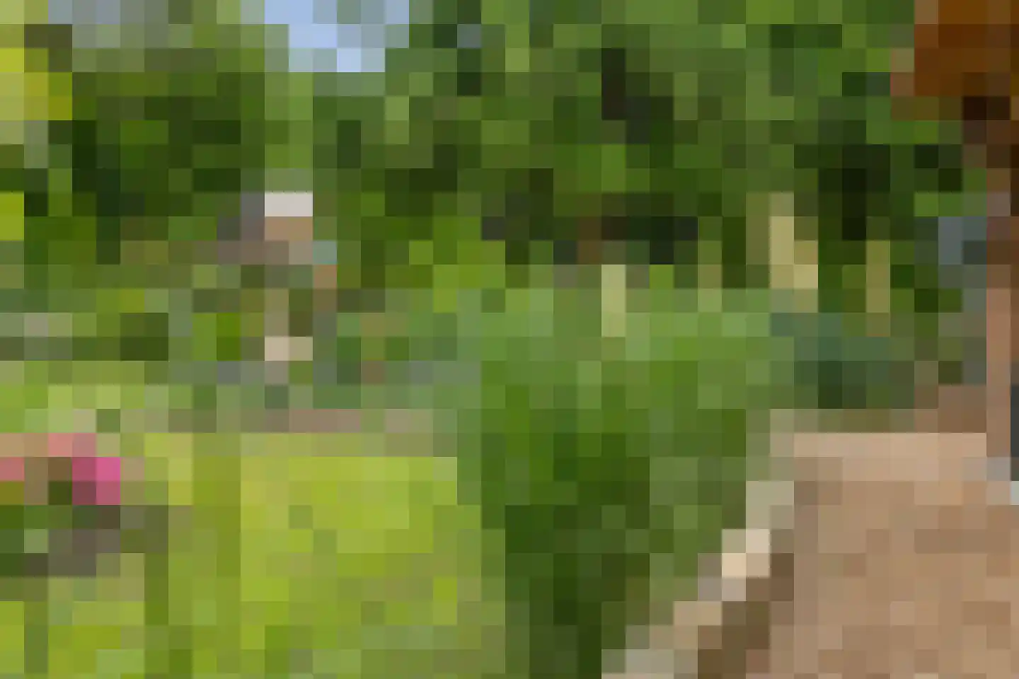 Europaweg 49 Nieuw-Schoonebeek thumbnail 27