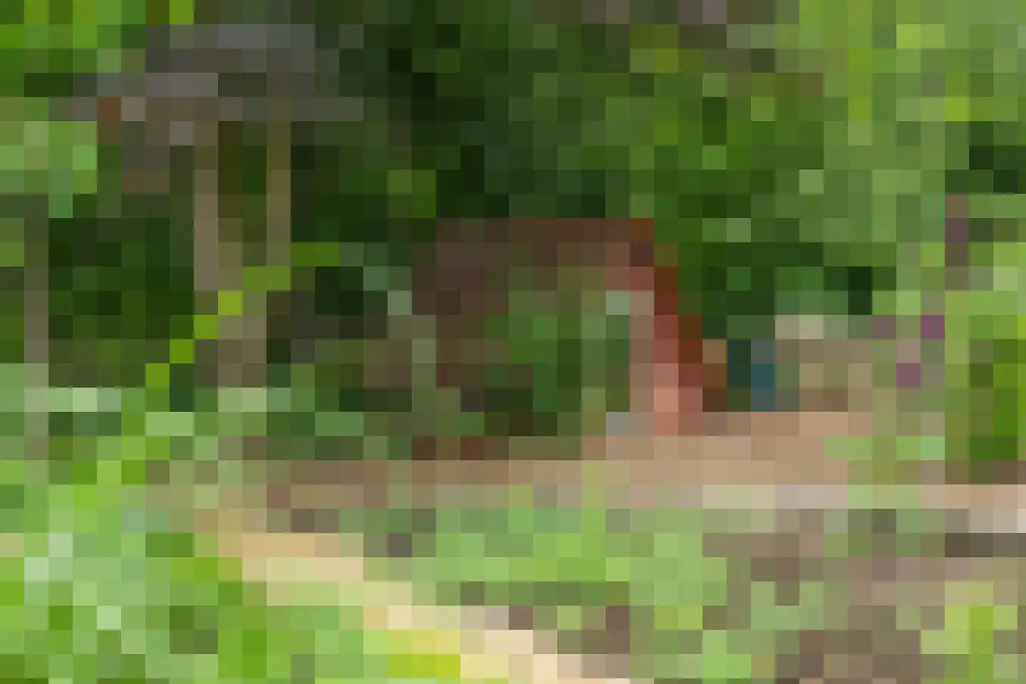 Europaweg 49 Nieuw-Schoonebeek thumbnail 33