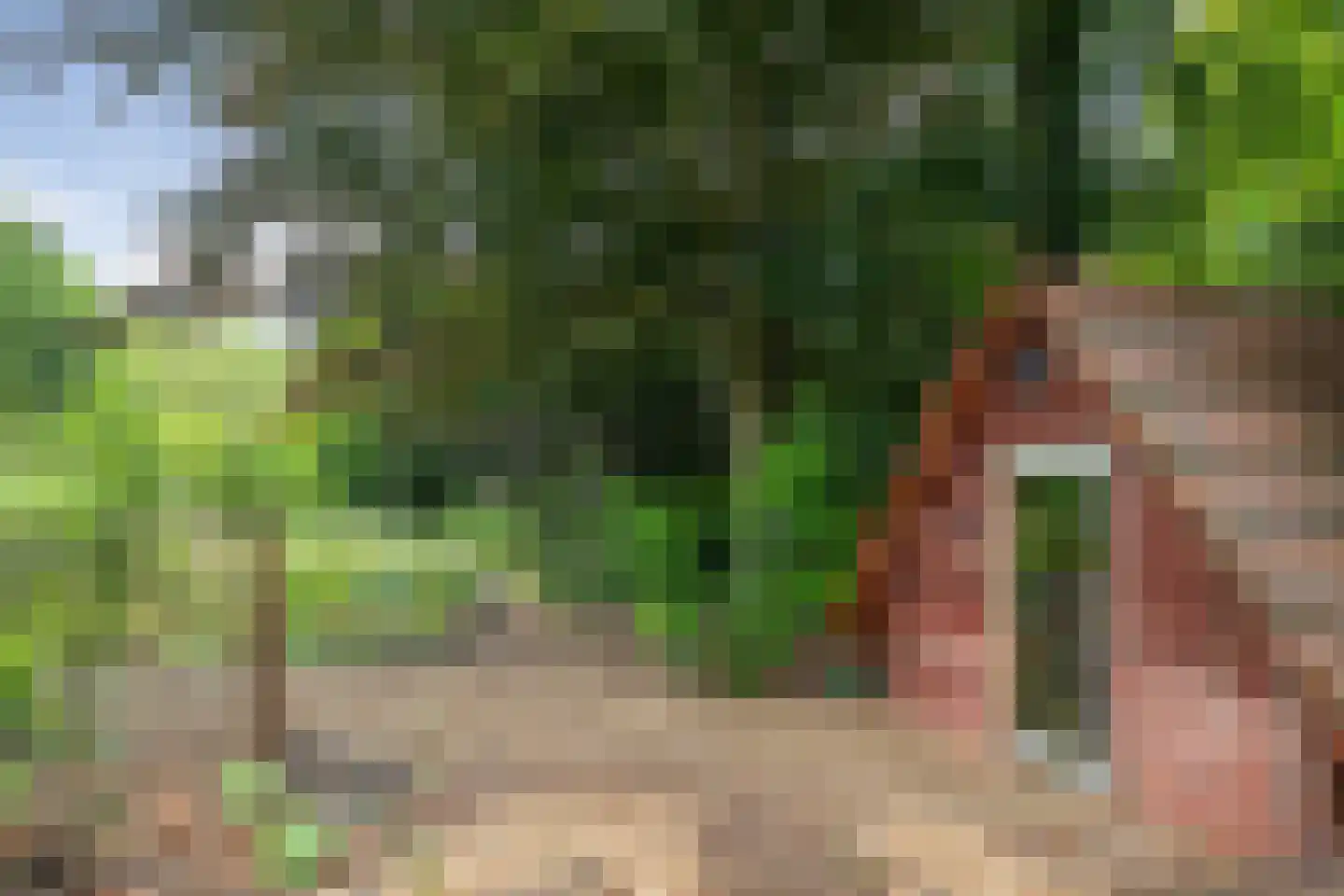 Europaweg 49 Nieuw-Schoonebeek thumbnail 34