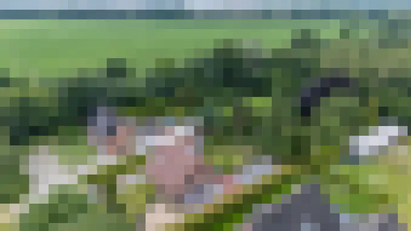 Europaweg 49 Nieuw-Schoonebeek thumbnail 4