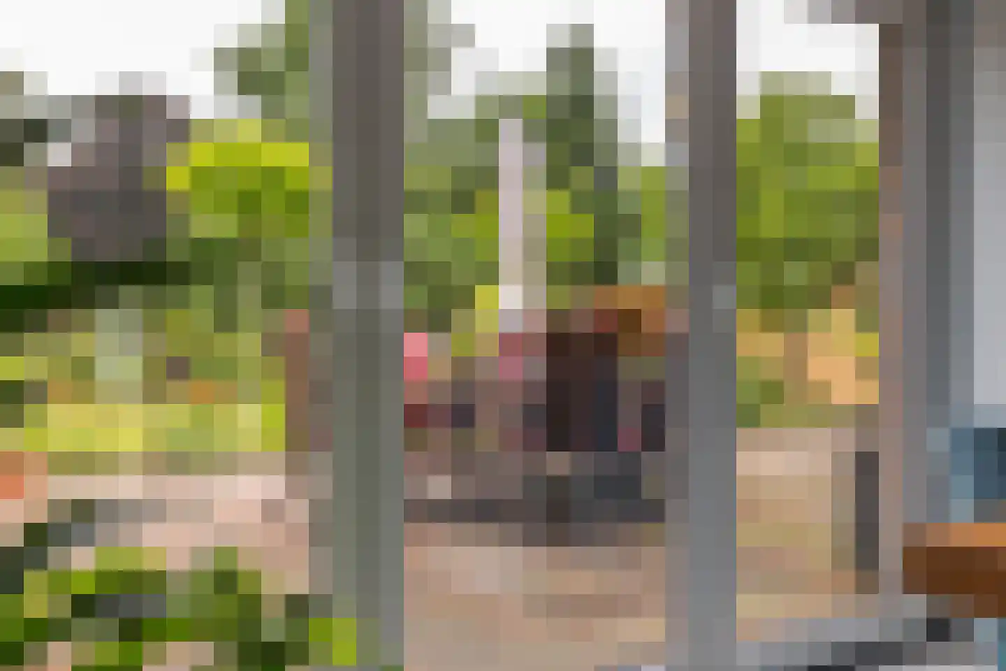 Europaweg 49 Nieuw-Schoonebeek thumbnail 51