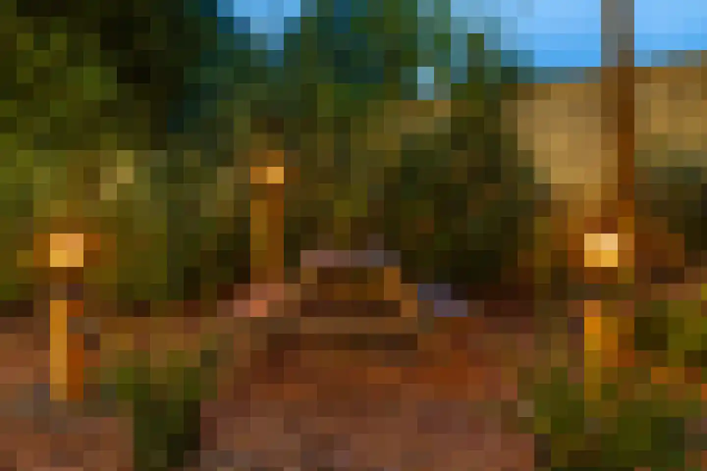 Europaweg 49 Nieuw-Schoonebeek thumbnail 74
