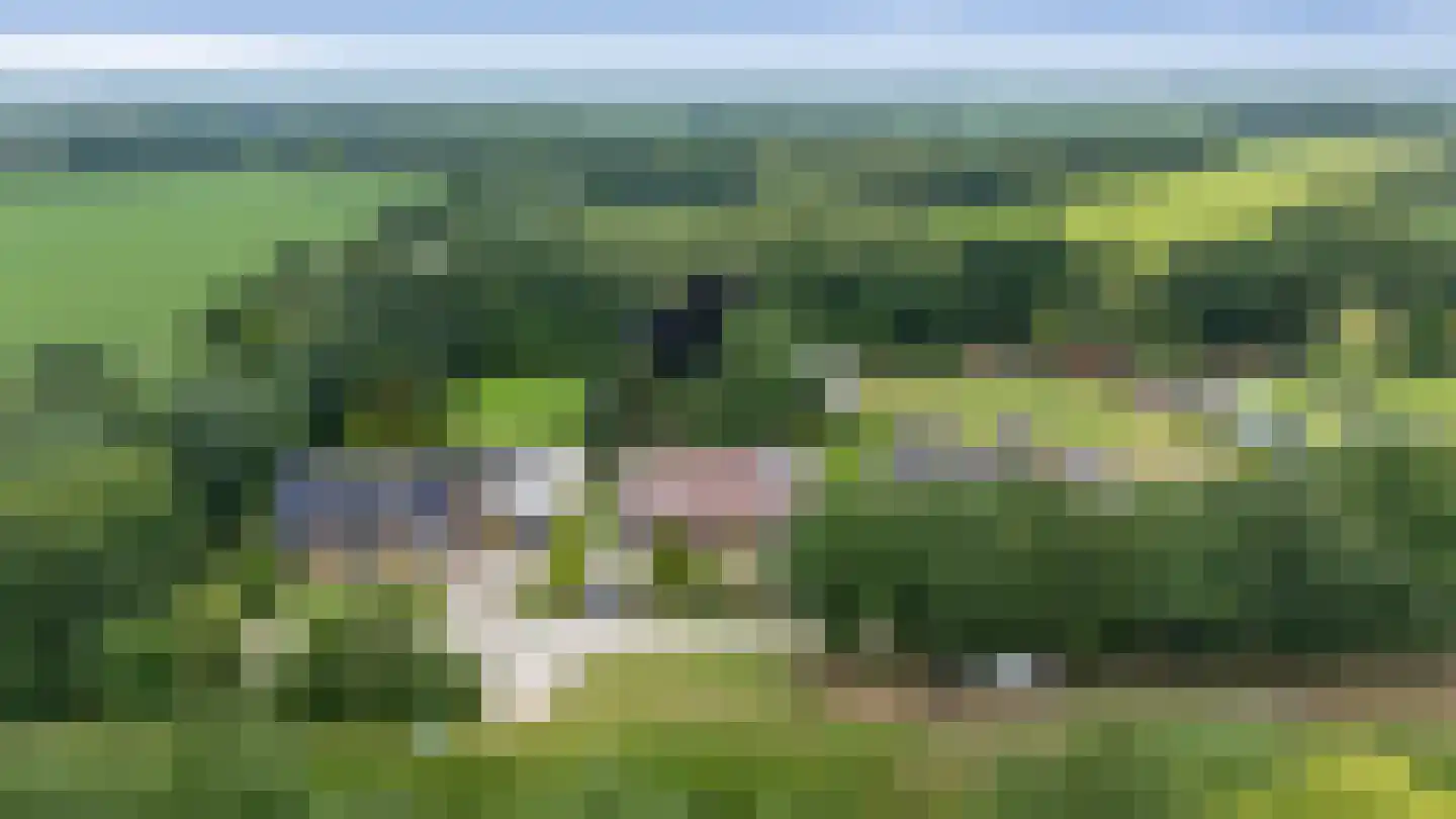 Europaweg 49 Nieuw-Schoonebeek thumbnail 76
