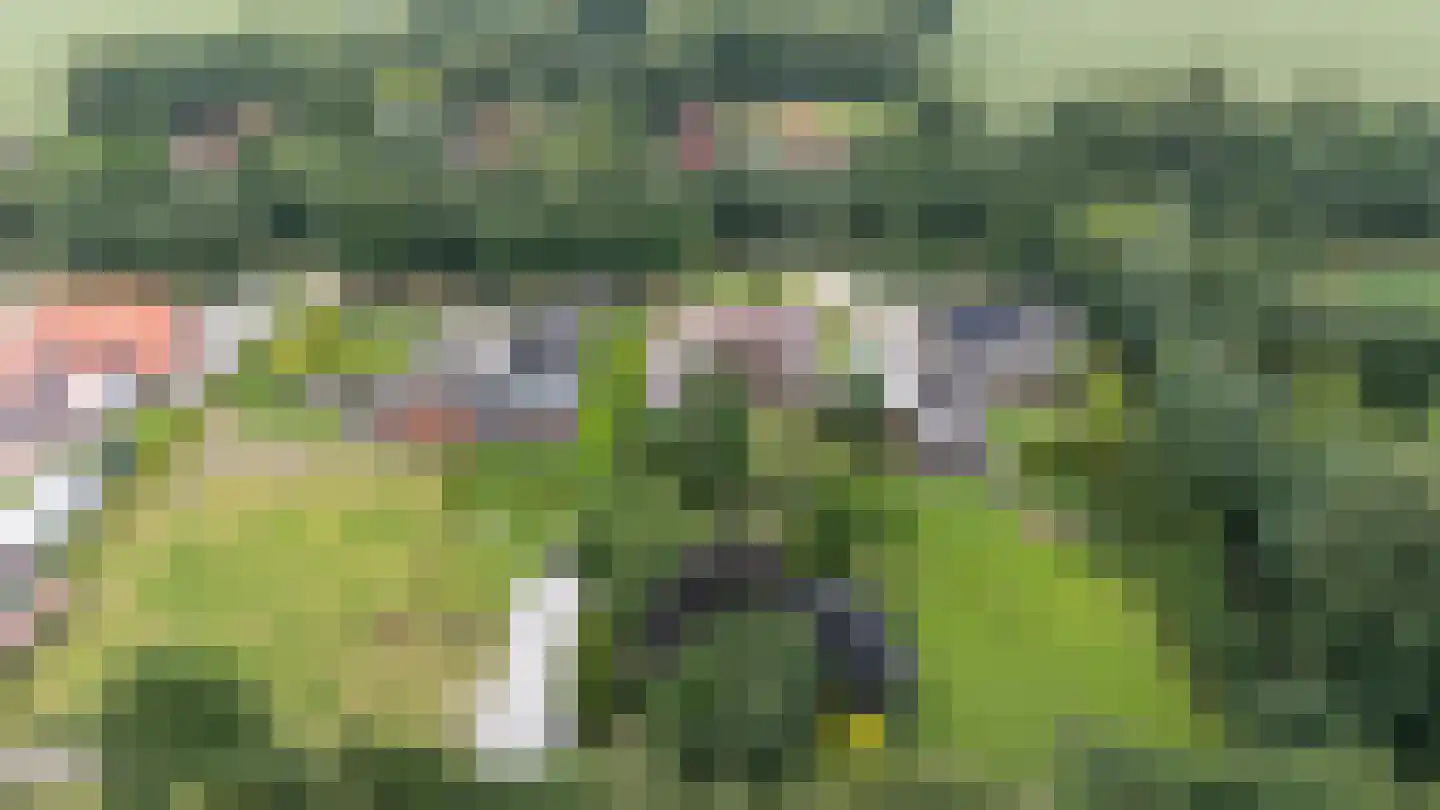 Europaweg 49 Nieuw-Schoonebeek thumbnail 78