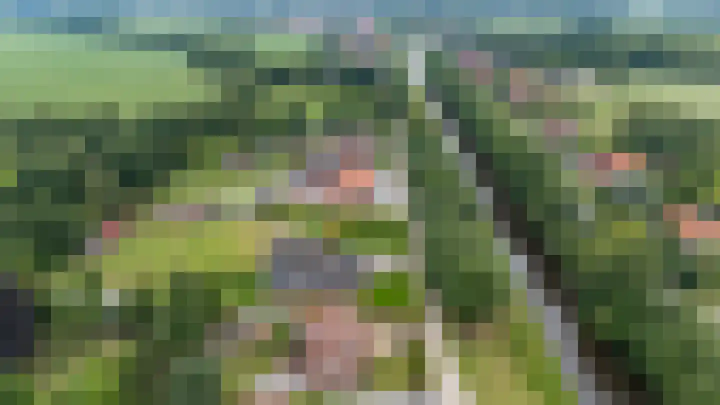 Europaweg 49 Nieuw-Schoonebeek thumbnail 79