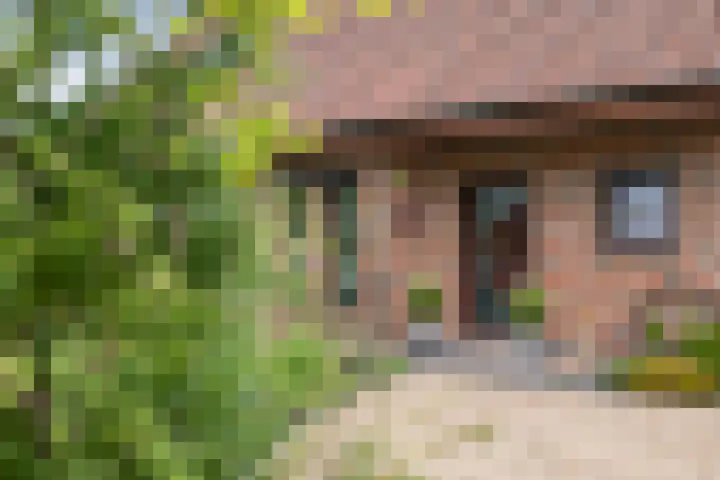 Europaweg 49 Nieuw-Schoonebeek thumbnail 9