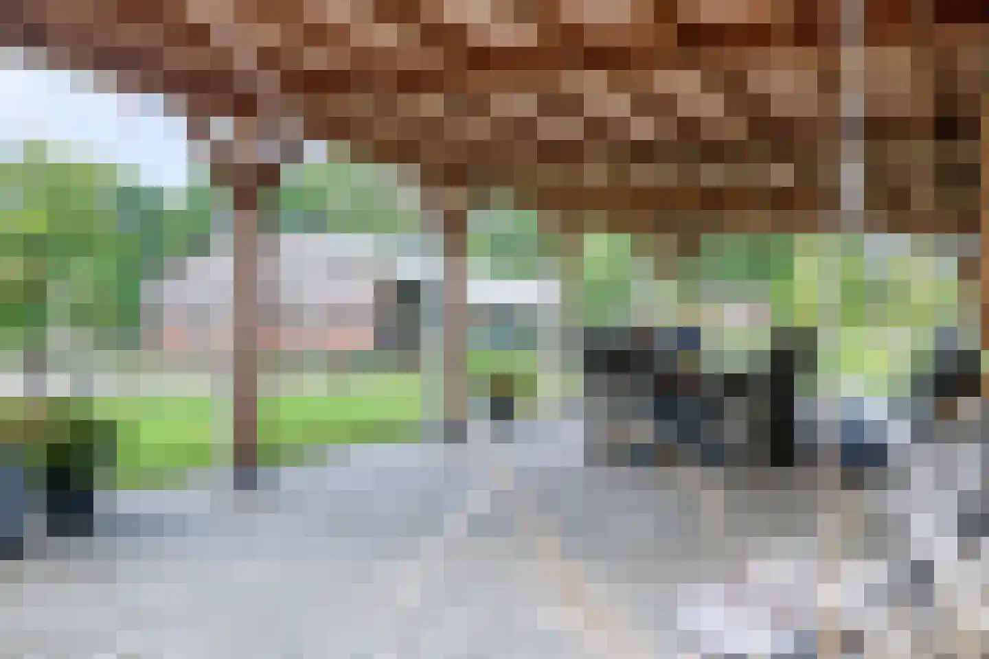 Europaweg 79 Nieuw-Schoonebeek thumbnail 16