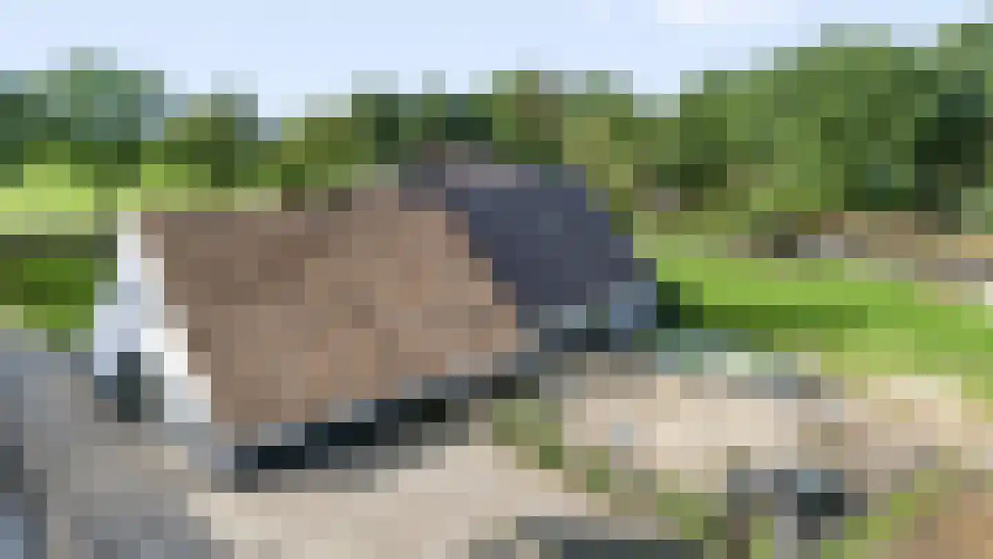Europaweg 79 Nieuw-Schoonebeek thumbnail 21
