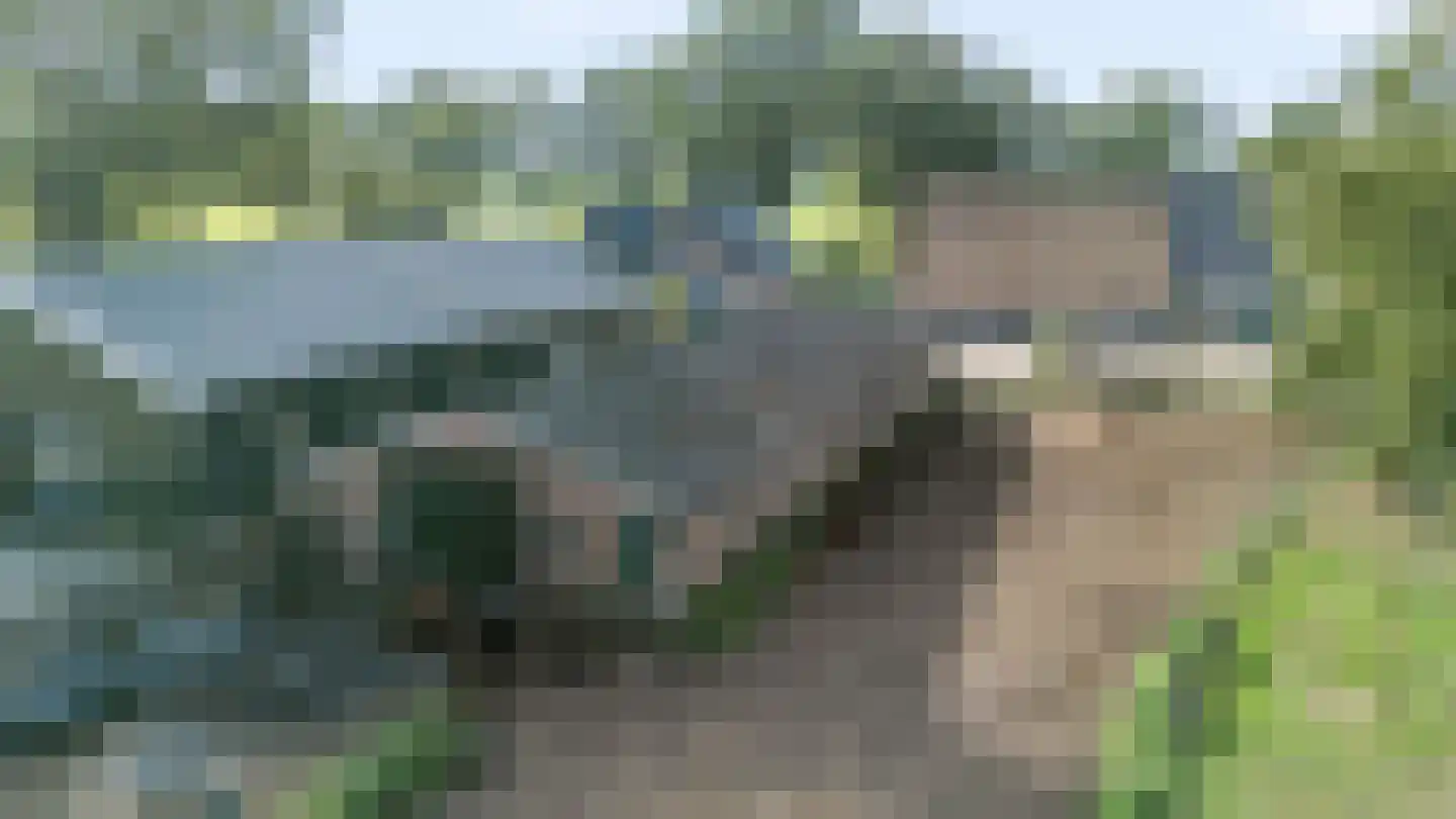 Europaweg 79 Nieuw-Schoonebeek thumbnail 5