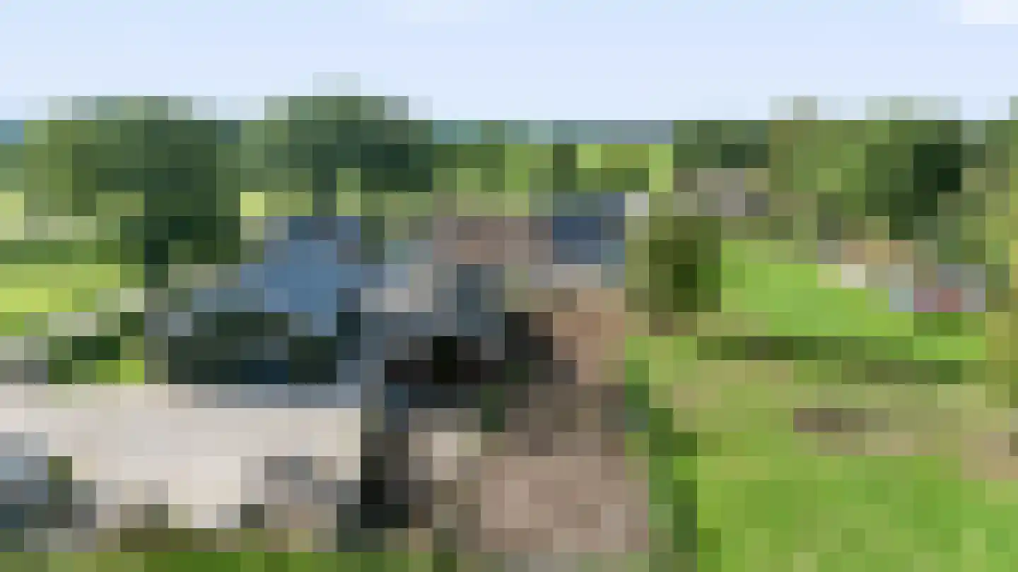 Europaweg 79 Nieuw-Schoonebeek thumbnail 59