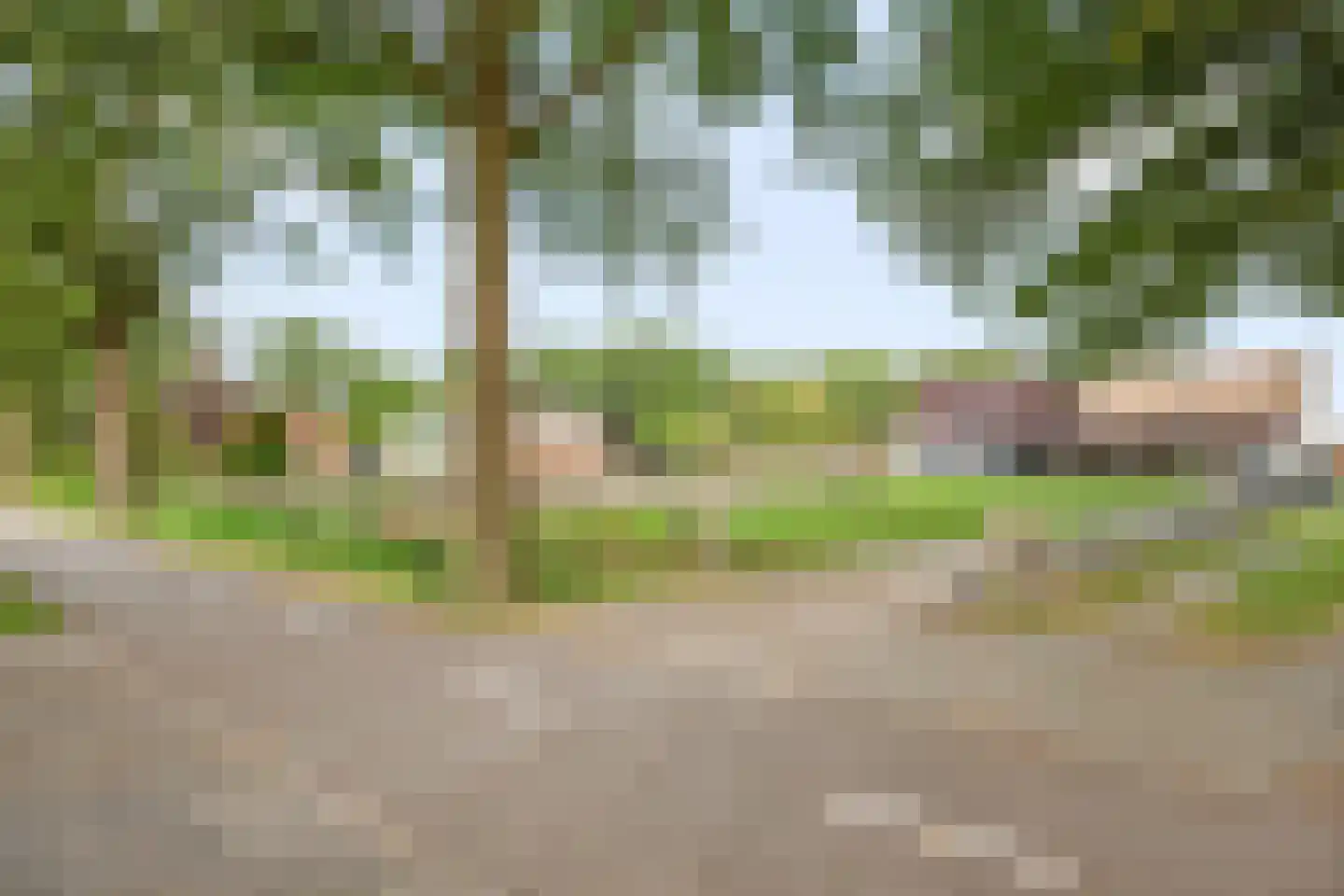 Europaweg 79 Nieuw-Schoonebeek thumbnail 62