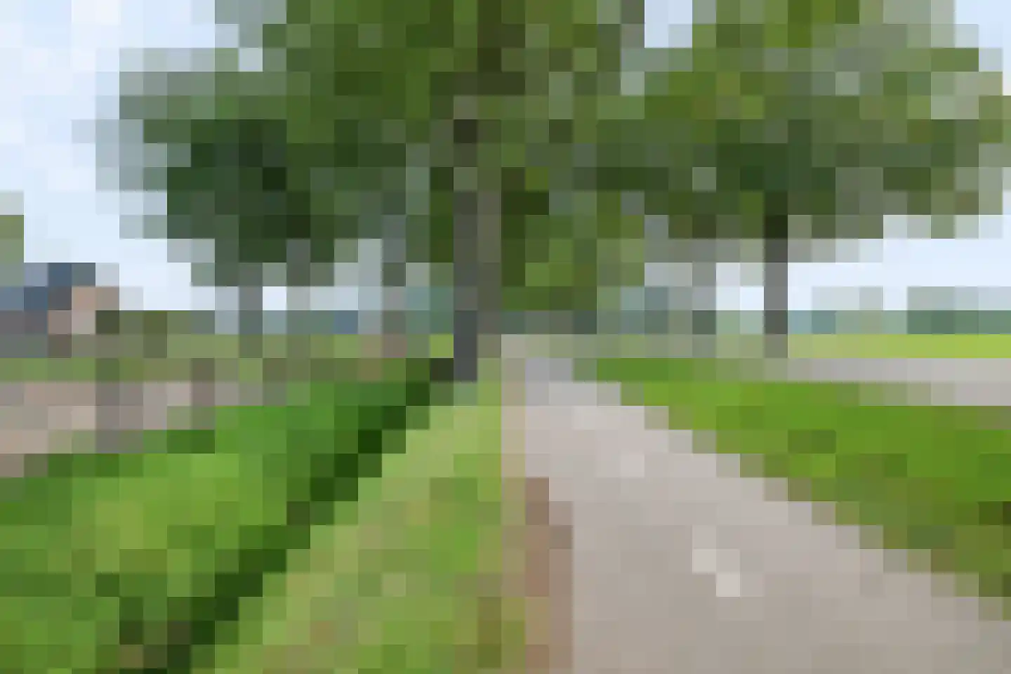 Europaweg 79 Nieuw-Schoonebeek thumbnail 64