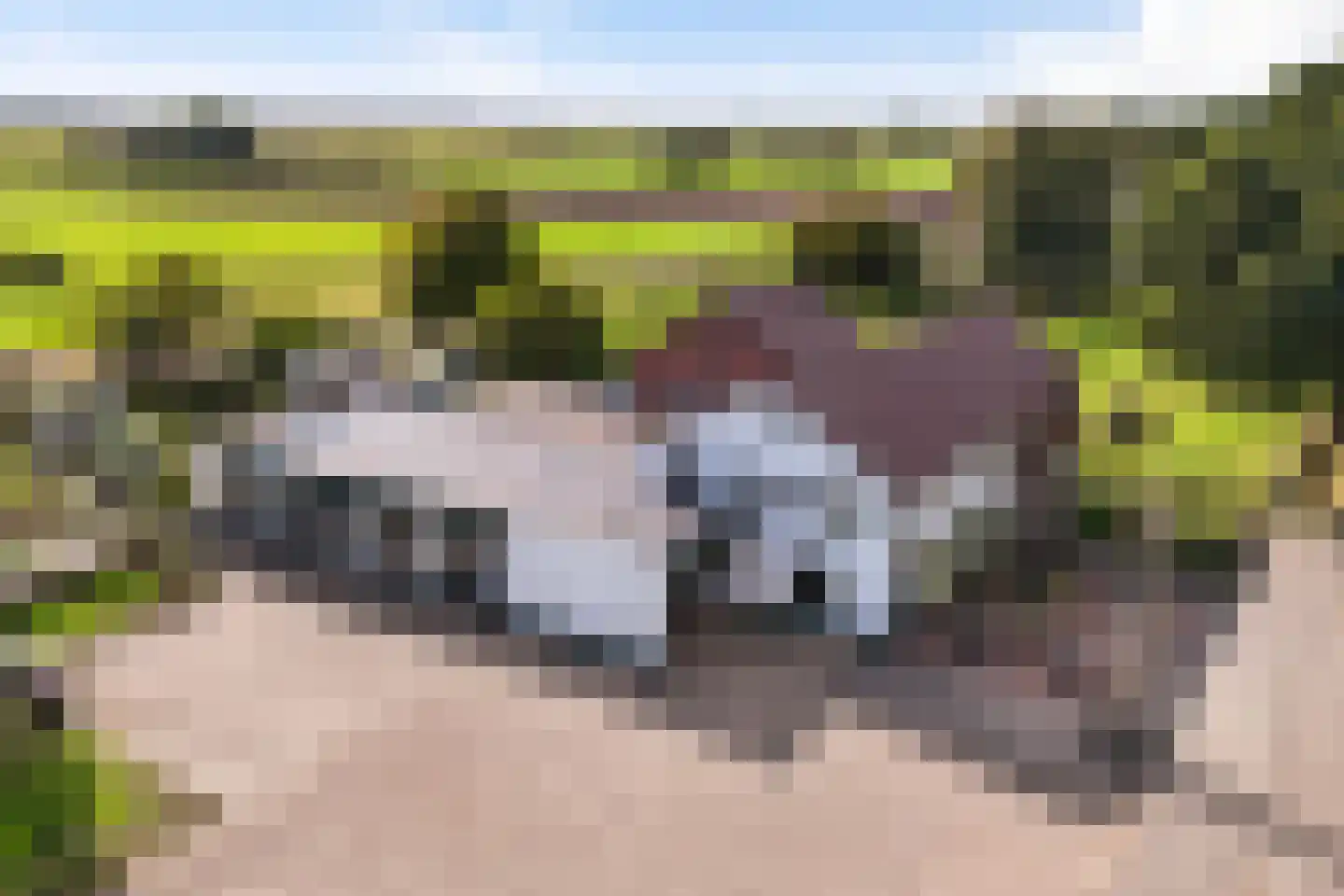 Europaweg 88 B Nieuw-Schoonebeek thumbnail 53