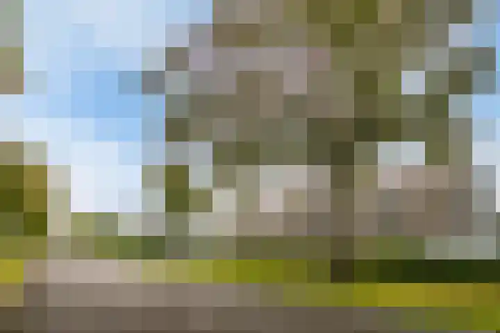 Europaweg 97 B Helmond thumbnail 34