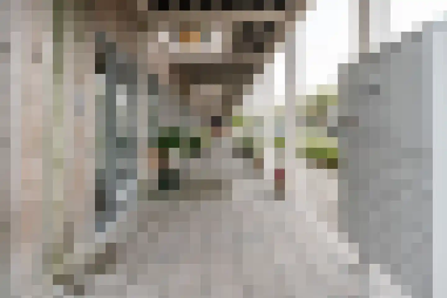 Europaweg 97 Helmond thumbnail 11