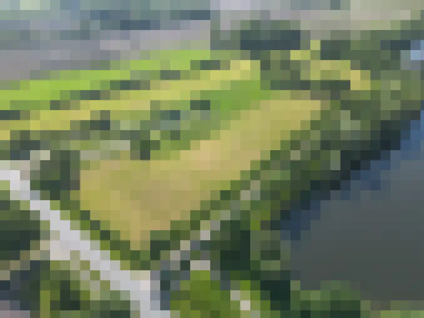 Europaweg Coevorden thumbnail 4
