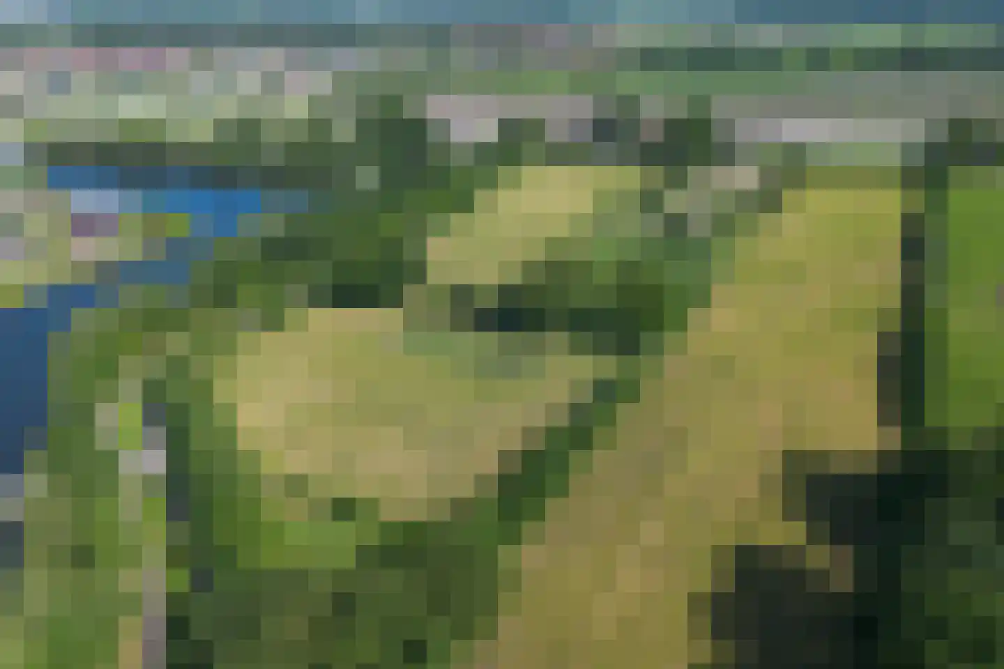 Europaweg Coevorden thumbnail 4
