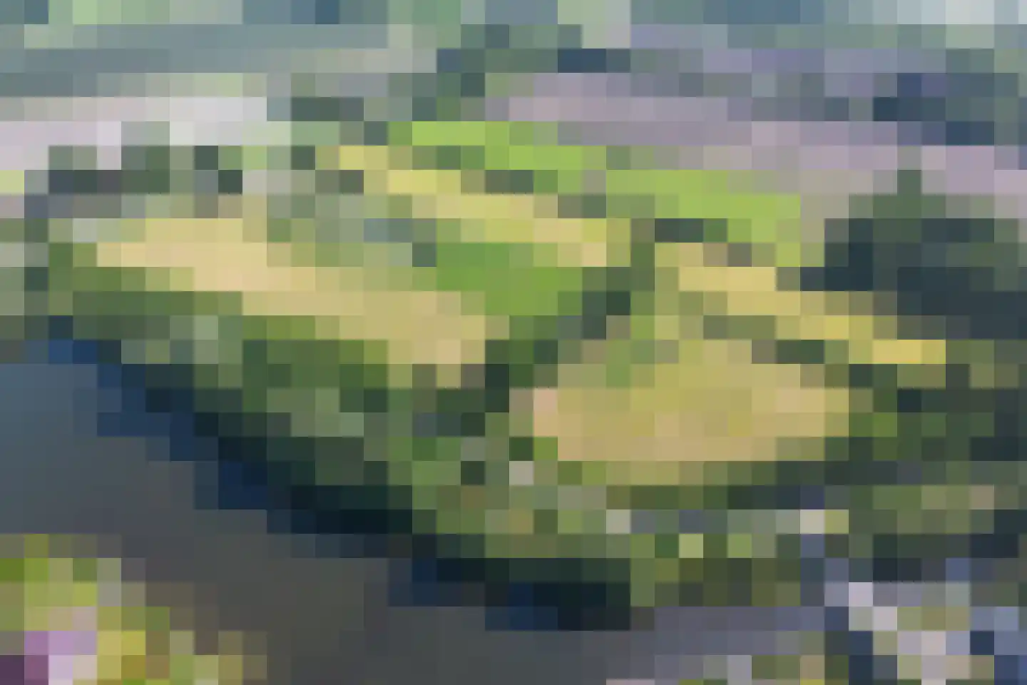 Europaweg Coevorden thumbnail 5